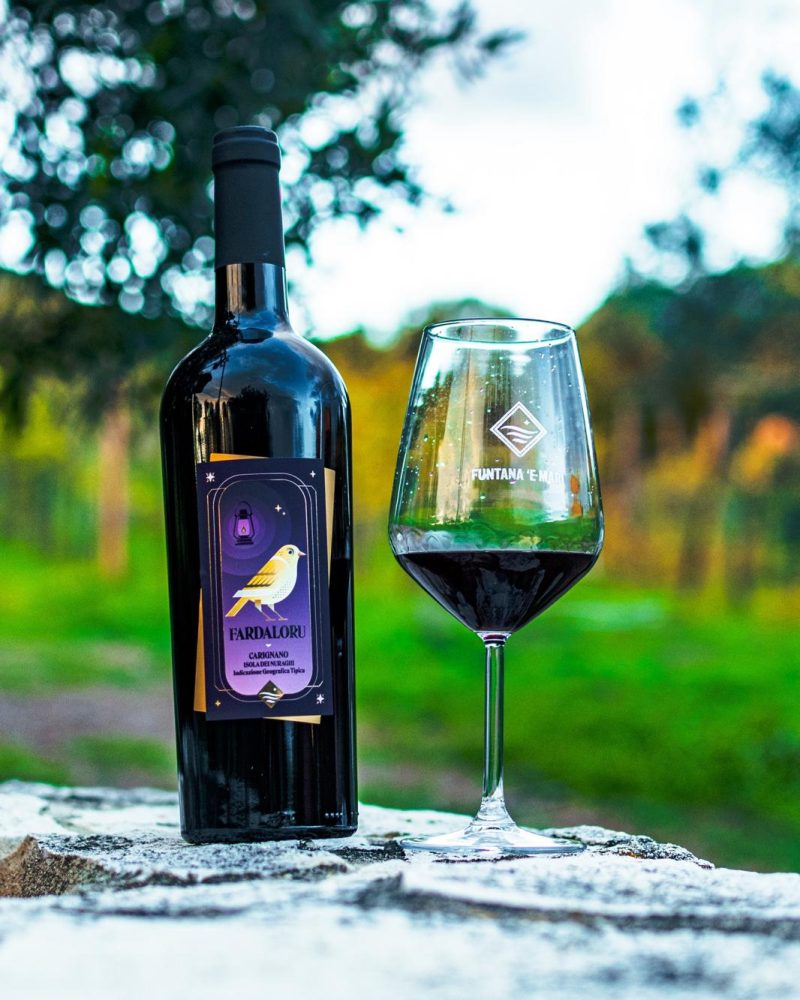 Immagine WhatsApp 2025-03-22 ore 11.58.50_7fce8b6c