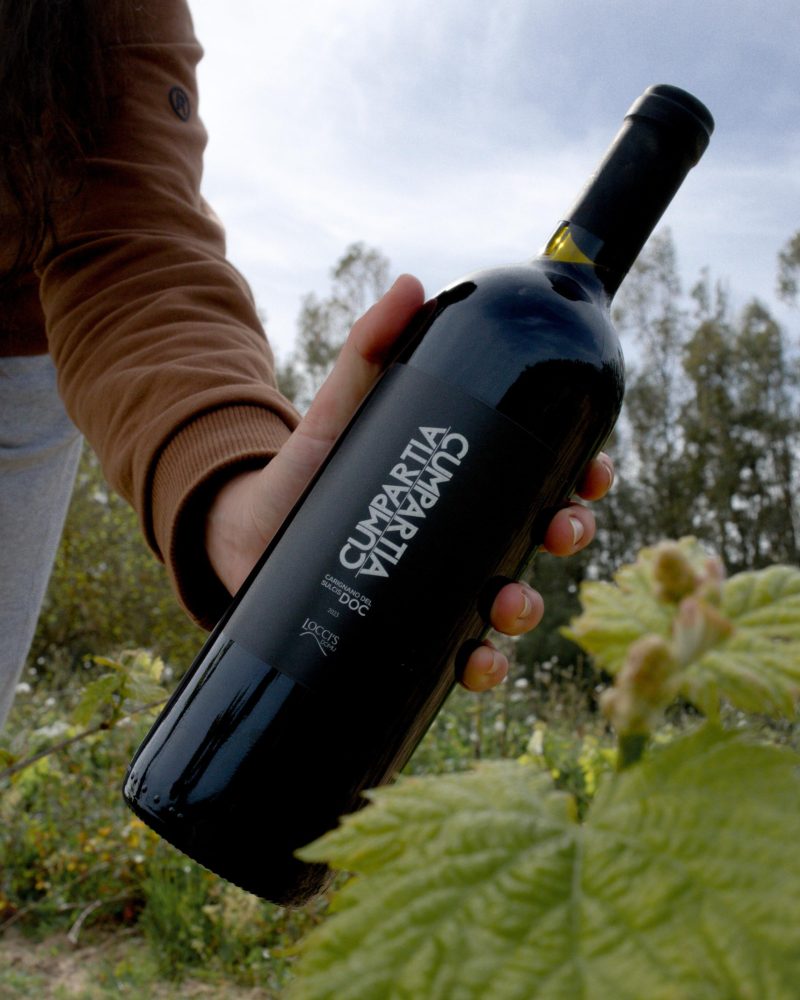 Immagine WhatsApp 2025-03-22 ore 15.55.12_073948f6