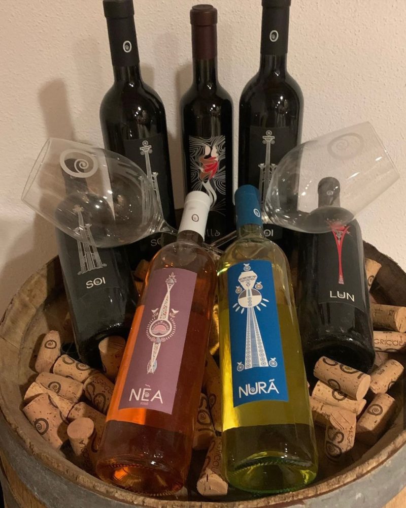 WhatsApp Image 2026-03-18 at 19.52.46