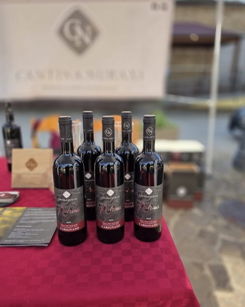 WhatsApp Image 2026-03-21 at 18.42.44