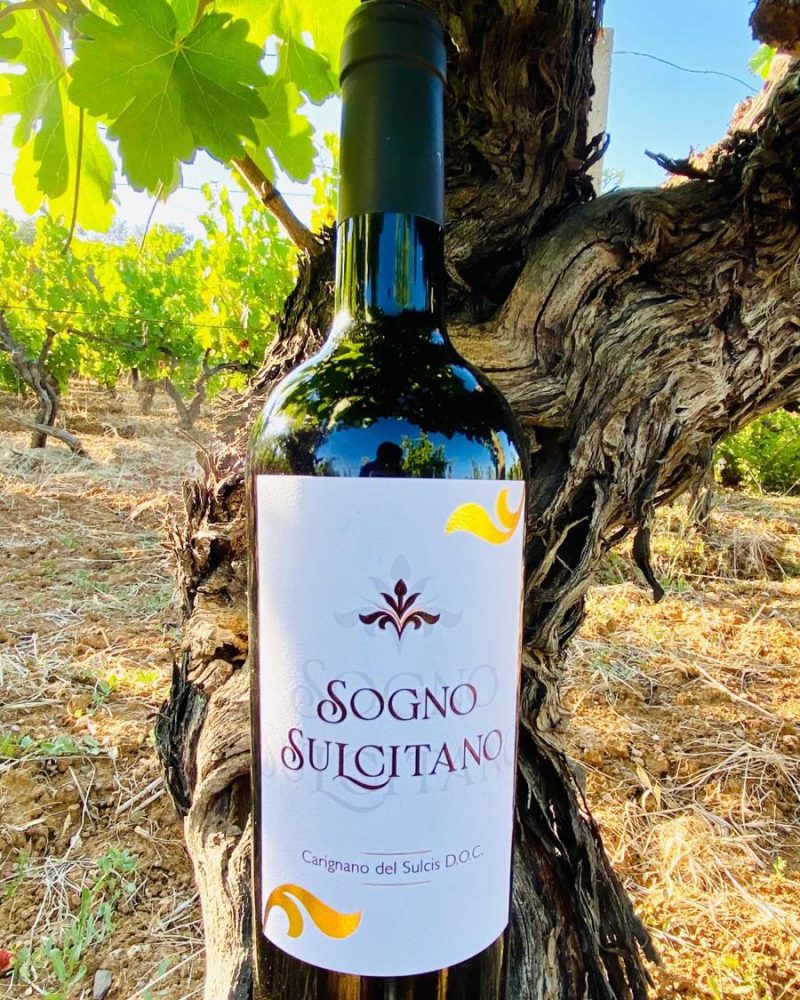 sognosulcitano2